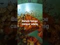 masakan rumahan balado tempe campur udang