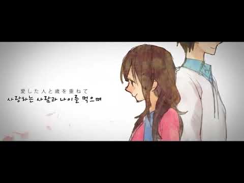 しわ 주름 GUMI 한글 자막