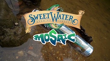 Mosaic Single Hop HAZY IPA