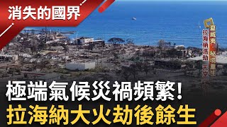 極端氣候災禍不斷! 夏威夷拉海納大火天災+人禍"複合式災難" 正宗"夏威夷豆"長這樣! 檀島代表名產:柯納咖啡 全球最高價 貴在人力|李文儀 主持|【消失的國界完整版】20240601|三立新聞台