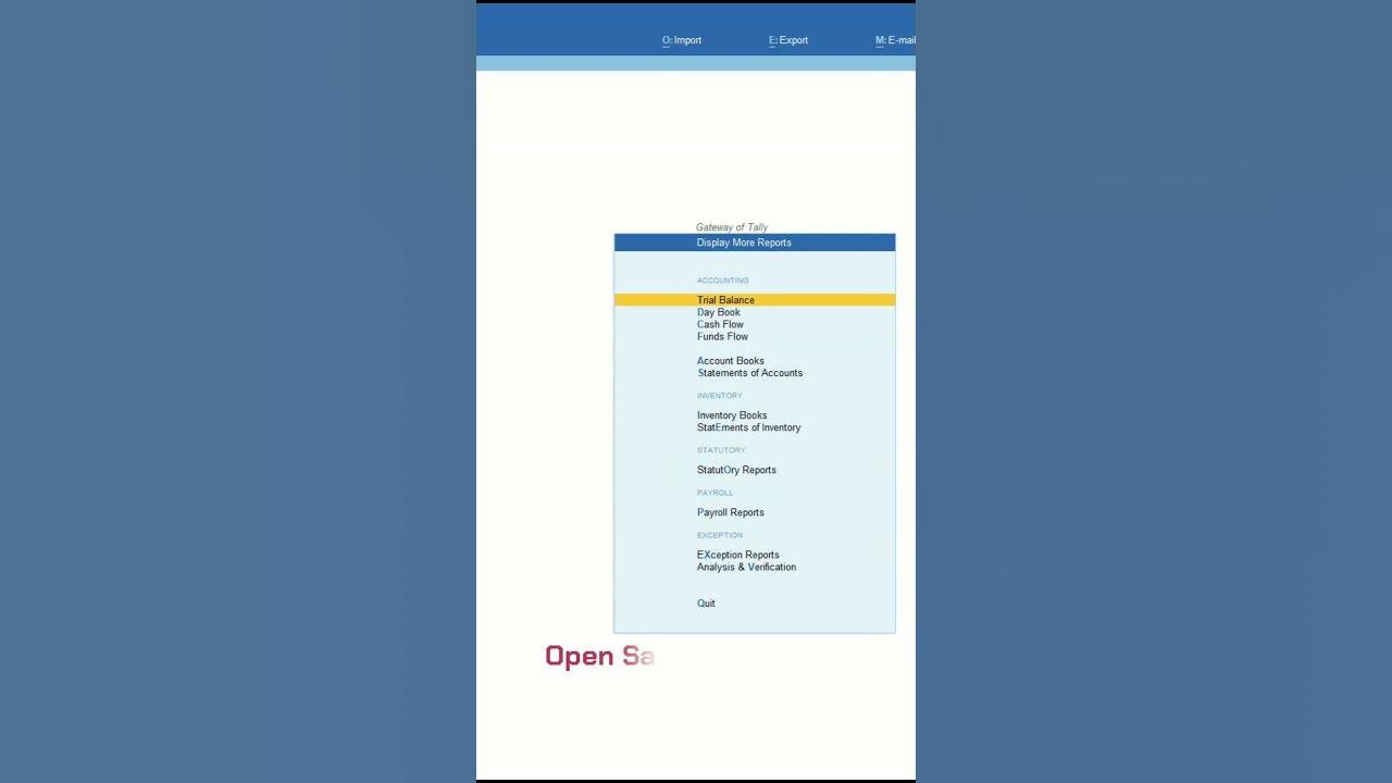 All in one tdl v1 3 auto email setup tally customization tally