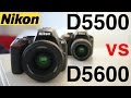 Nikon D5500 vs Nikon D5600 - Which is the best beginner Nikon DSLR?