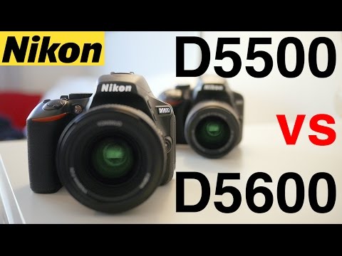 Nikon D5500 vs Nikon D5600 - Which is the best beginner Nikon DSLR?