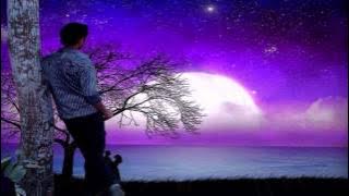 The Lonely Shepherd - instrumental Music...