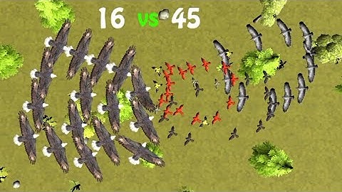 Bird Battle Simulator | gameplay walkthrough part 2 | Red Chilli | android iOS