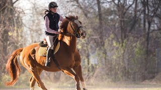Beginner Prancercise Fitness Workout Plan | Horse jumping and stance Training | 9.9 Workout Music