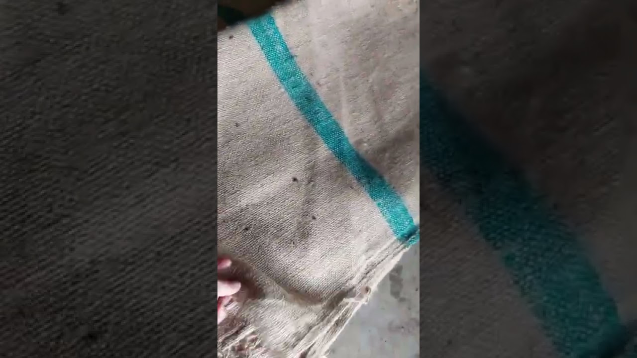 Bao bố đựng hạt xk -www.baobo.com.vn-☎️☎️☎️ 0916510925 - 0903864149 Zalo - 