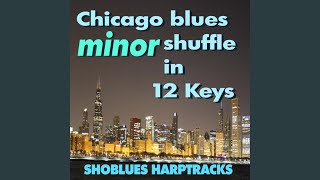 Video thumbnail of "Shoblues Harptracks - B Minor Shuffle"