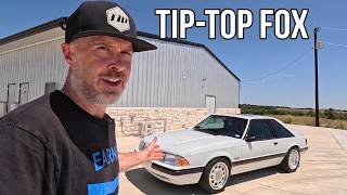 THESE MODS MAKE THE PERFECT FOXBODY DRIVER - TIP-TOP Part 2