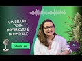 🎙 EP.16 – Cannabis e Redução de Danos: Um Brasil Pós-Proibição é Possível?