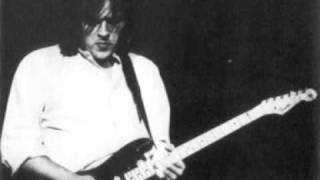 Video thumbnail of "Pink Floyd - Comfortably Numb (D.Gilmour Acoustic Demo 1978)"