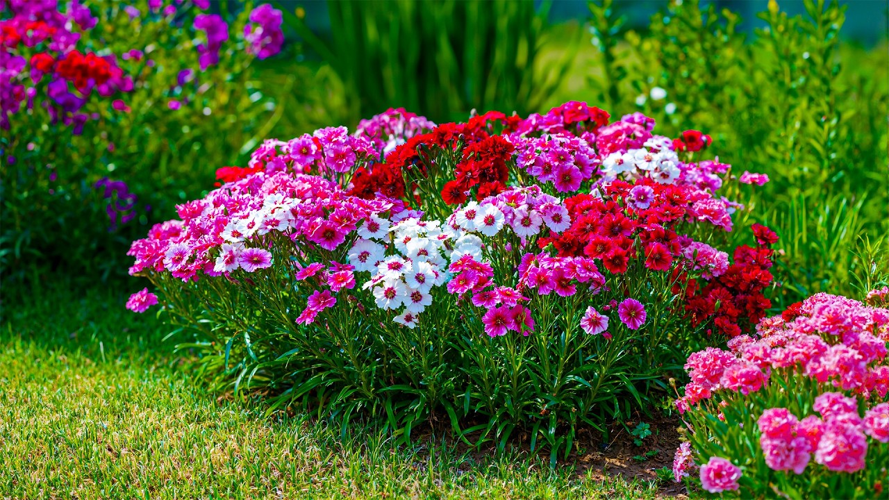 99% покоя в одном саду 🌺 Самый восхитительный цветочный сад на свете 🍀 Расслабьтесь и дышите полн...