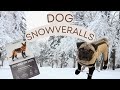 Pug reviews viral canada pooch snowverall suspender booties
