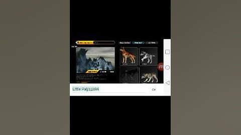 Wolf Online: Little Name!