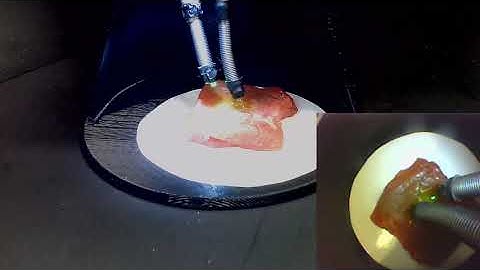 Motor-Free Soft Robots for Cancer Detection, Surgery, and In Situ Bioprinting Video 5