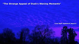 Live Ambient: The Strange Appeal of Dusk's Waning Moments Benjolin + Morphagene Improv DarkAmbient