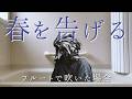 春を告げる (yama) をフルートで吹いた場合 | Flute cover