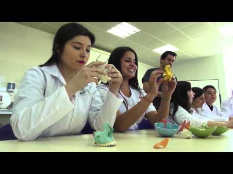 ¿Cuánto Tiempo Tiene Que Ir A La Escuela Un Higienista Dental?