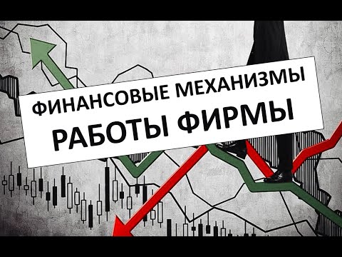 Финансовые механизмы работы фирмы