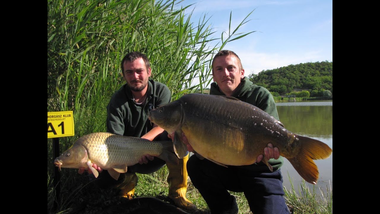 II. SBS - Ponty- és Amurfogó Verseny a Vadkan tavon