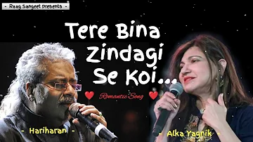 Tere Bina Zindagi Se Koi Shikwa To Nahi | Alka Yagnik | Hariharan | Dil Vil Pyar Vyar | Raag Sangeet