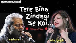 Tere Bina Zindagi Se Koi Shikwa Ke Nahi | Alka Yagnik | Hariharan | Dil Vil Pyar Vyar | Raag Sangeet