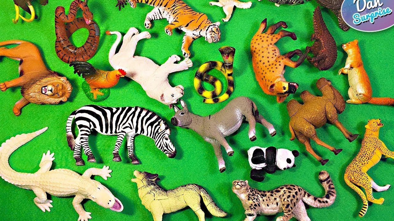 Kids box wild animals