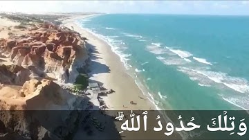 ( أحصاه الله ونسوه ) ما تيسر من سورة المجادلة