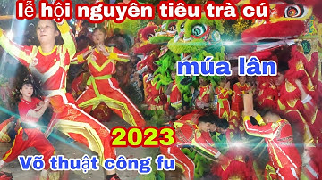 LỄ HỘI NGUYÊN TIÊU 2023.múa lân, múa rồng, biểu diễn võ thuật kungfu tại chùa ông bổn trà cú