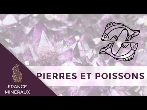 Vidéo: Quelle Pierre Convient Aux Poissons