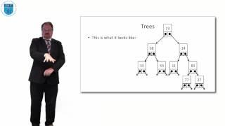 Pseudocode: Advanced Data Structures