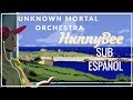 Unknown Mortal Orchestra - HunnyBee (Sub Español) (Music Video)