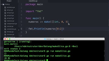0010-34 Como Usar make para Criar Pedaços (Slice) na Linguagem Go - Aula de Golang