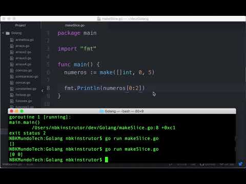 0010-34 Como Usar make para Criar Pedaços (Slice) na Linguagem Go - Aula de Golang