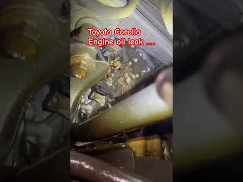 Corolla engine oil leak #oil pressure switch  leak#toyota oil leak #Primetech Automotive