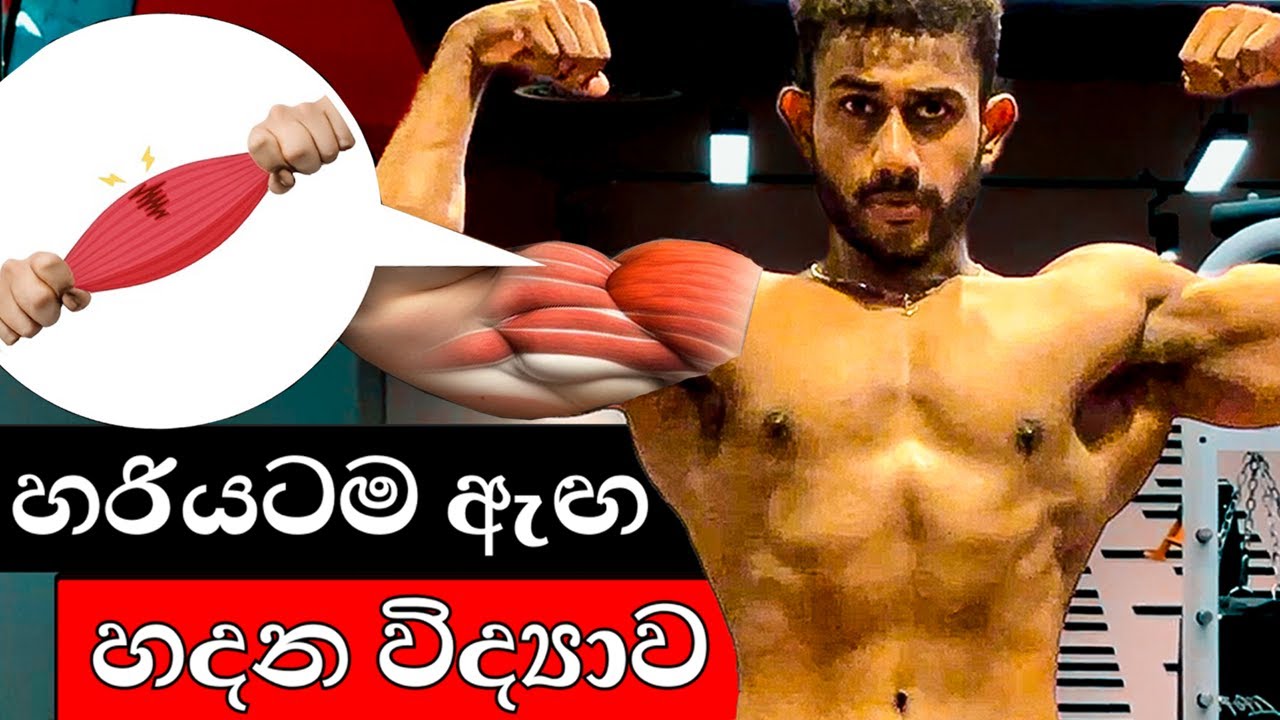 Gym Chart ඒකත් ඇතුළත්ව සුපිරියටම ඇඟ හදන සම්පූර්ණ Body Building Guide එක