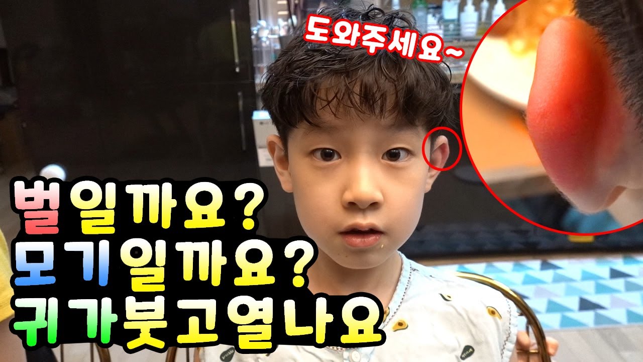 도와주세요~ 벌에 쏘인 걸까요? 독한 모기한테 물린걸까요? 뉴욕이 귀가 붓고 열나요 ㅠㅠ (feat. 예나 개인기) | 뉴욕이네