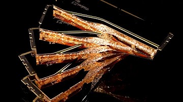 【Featured Product】G.SKILL Trident Z5 RGB Gold/Silver Product Video