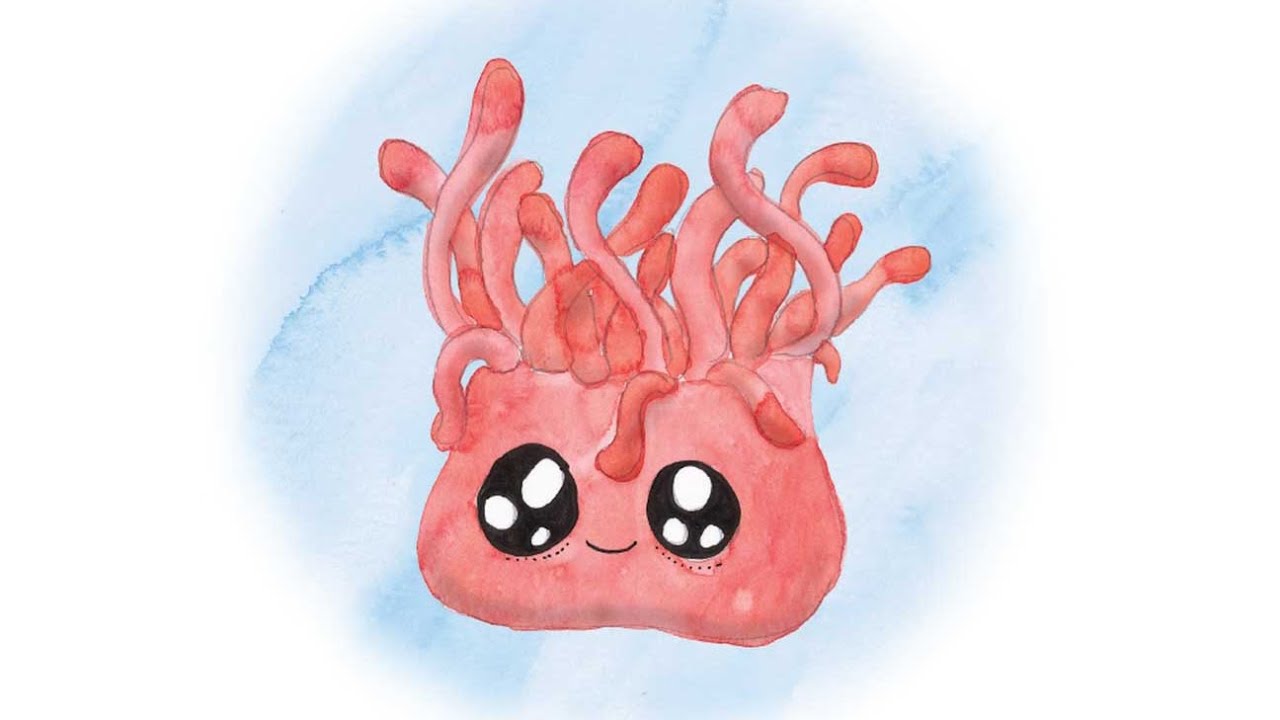 Ahn-Nem-Oh-Nee Finds Adventure | Story Telling for Kids