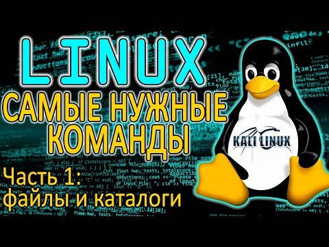 Основы Linux. Работа с файлами и каталогами