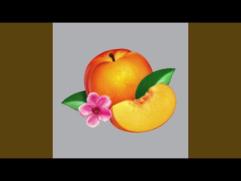 Bourgeois - Phoenix