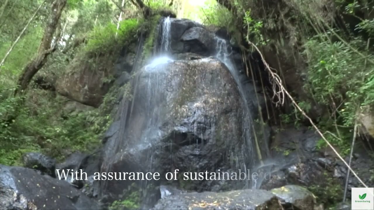 Nature Wins #cop15 #biodiversity #relaxation
