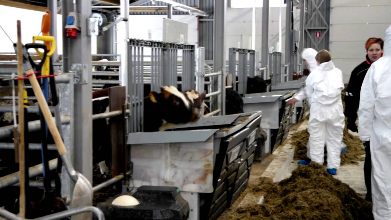 Sampsa ry - Maakuntamatkalla