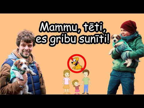 Video: Vai Suņi Var Iemācīt Bērniem Atbildību?