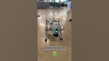 HOW DID THEY BRING A DRAGON TO LIFE #robots #robotics #tech #httyd #epicuniverse #real #dog