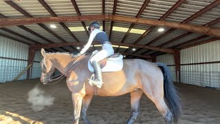 2022 NCEA Championship Flat Pattern on B-Max