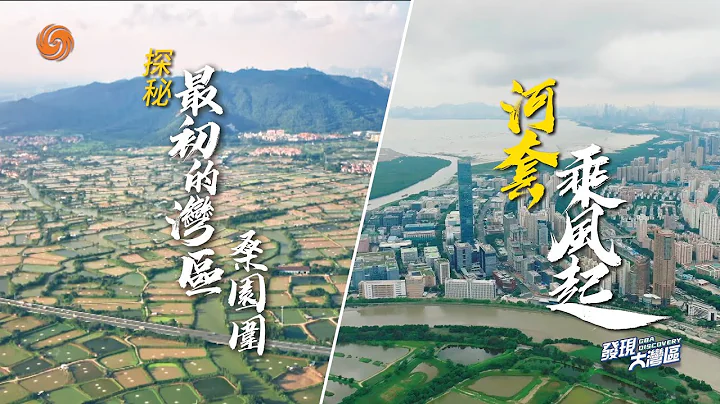 世界灌溉工程遗产──桑园围：延续近千年的水利工程，如何保留岭南水乡特色发展？｜河套深港科技创新合作区，人、财、物、数据，Buff叠满！将如何打造世界级科研枢纽？｜发现大湾区 - 天天要闻