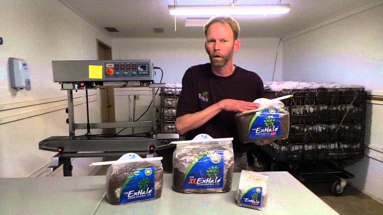 What size ExHale Bag do I need? YouTube