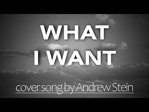 "What I Want" - Morgan Wallen & Tate McRae [ROCK COVER] by Andrew Stein