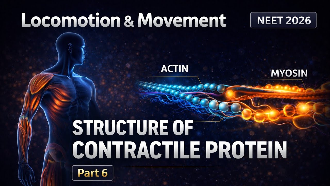 Locomotion & Movement | NCERT Line By Line 💯 | NCERT Class 11th Biology 📑 | NEET 2026 | Part 6 🎯🎯